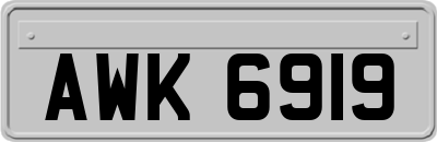 AWK6919