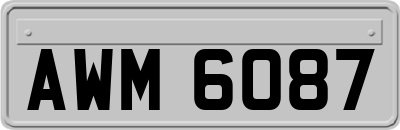AWM6087