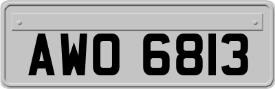 AWO6813