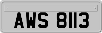 AWS8113