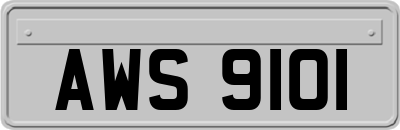 AWS9101