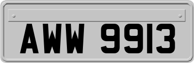 AWW9913