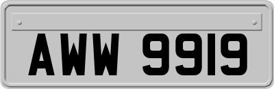 AWW9919
