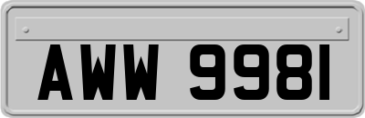 AWW9981