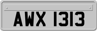 AWX1313
