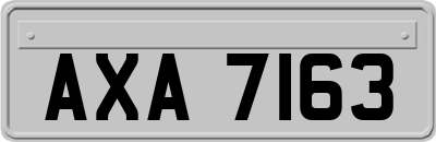 AXA7163