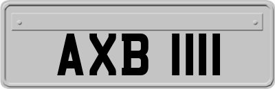 AXB1111