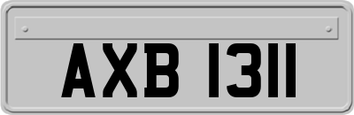 AXB1311
