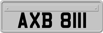 AXB8111
