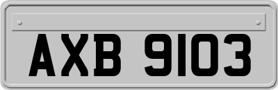 AXB9103