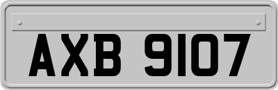 AXB9107