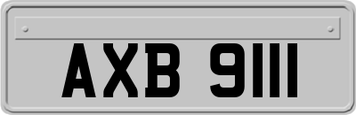 AXB9111