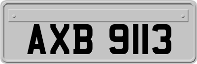 AXB9113