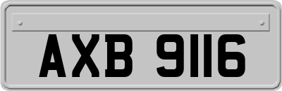 AXB9116
