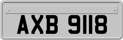 AXB9118