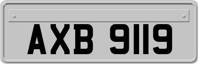 AXB9119
