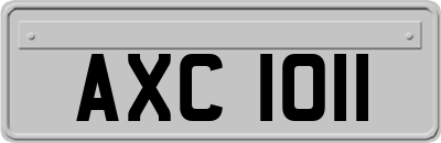 AXC1011