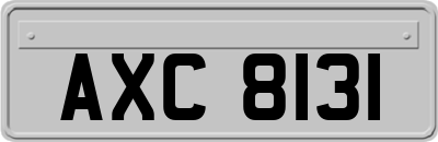 AXC8131