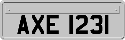 AXE1231