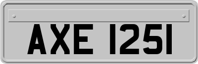 AXE1251