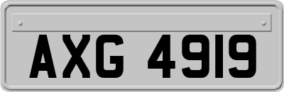 AXG4919
