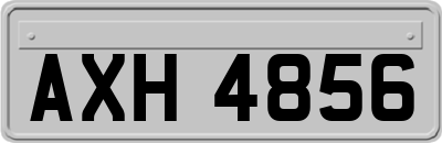AXH4856