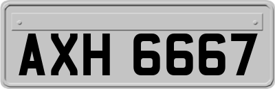 AXH6667