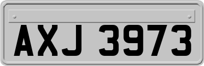 AXJ3973