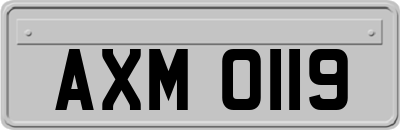 AXM0119