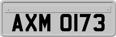 AXM0173