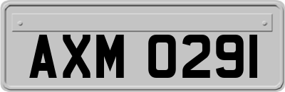 AXM0291