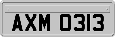 AXM0313