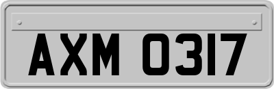 AXM0317