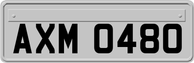 AXM0480
