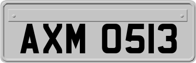 AXM0513