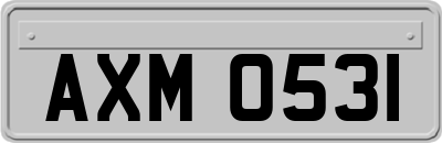 AXM0531