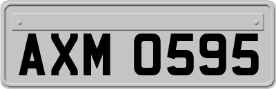 AXM0595