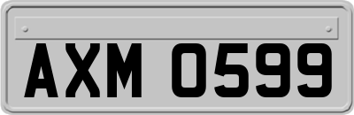 AXM0599
