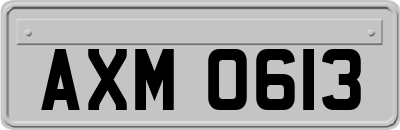 AXM0613