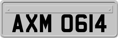 AXM0614
