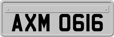 AXM0616