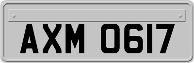 AXM0617