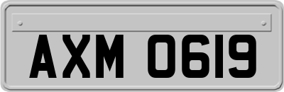AXM0619