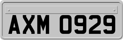 AXM0929