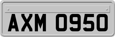 AXM0950