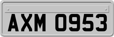 AXM0953