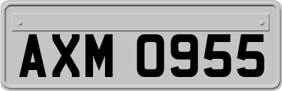 AXM0955