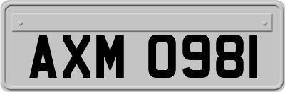AXM0981