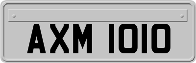 AXM1010