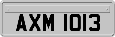 AXM1013